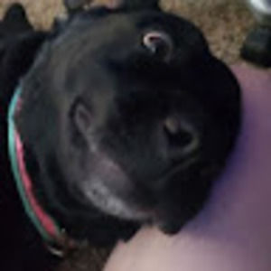 Meet your Posher, Drew